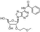 N6-苯甲?；?2'-O-(2-甲氧基乙基)腺苷
